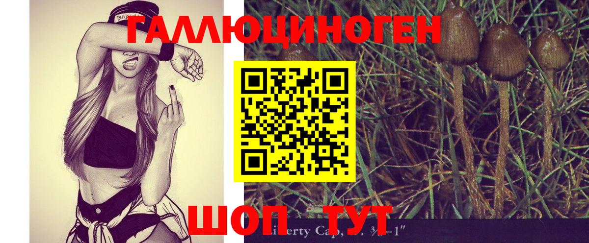 Галлюциногенные грибы мицелий  Вход с VPN  где можно купить   Щёкино 