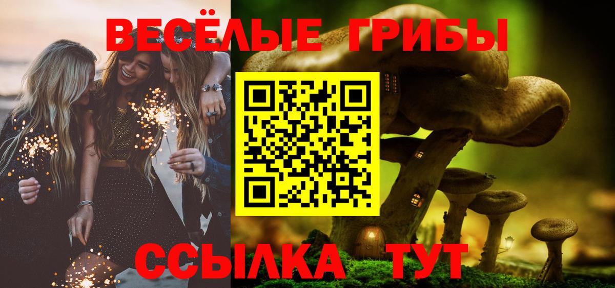 Галлюциногенные грибы ЛСД Щёкино
